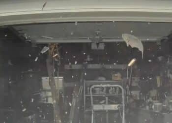 Fish landing on Tesla in Atlantic Highlands, NJ