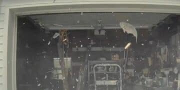 Fish landing on Tesla in Atlantic Highlands, NJ