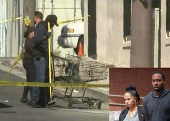 Suspect arrested after shopping cart found with burning body parts